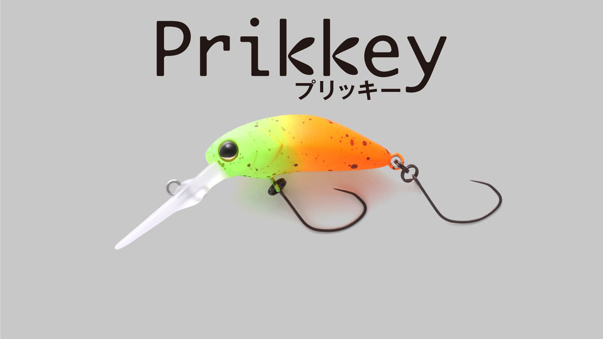 Timon - Prikkey
