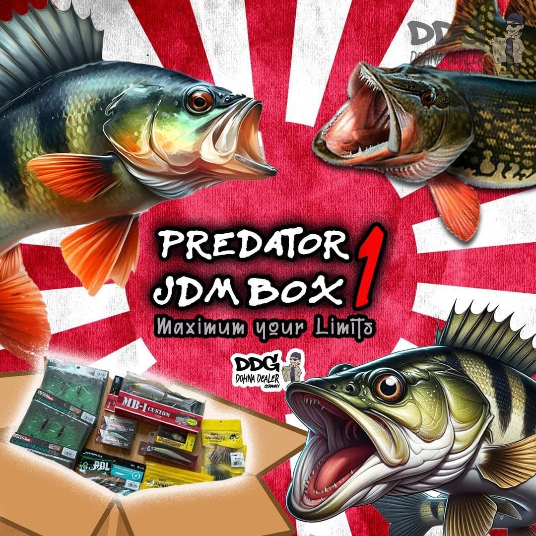 Jdm Box DDG-MYSTERY-BOX