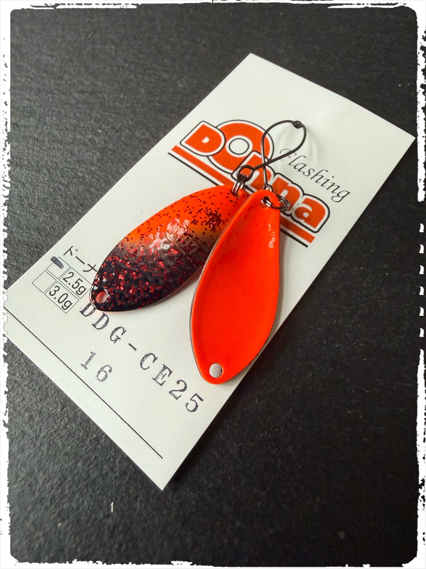 DDG-CE`25 #016