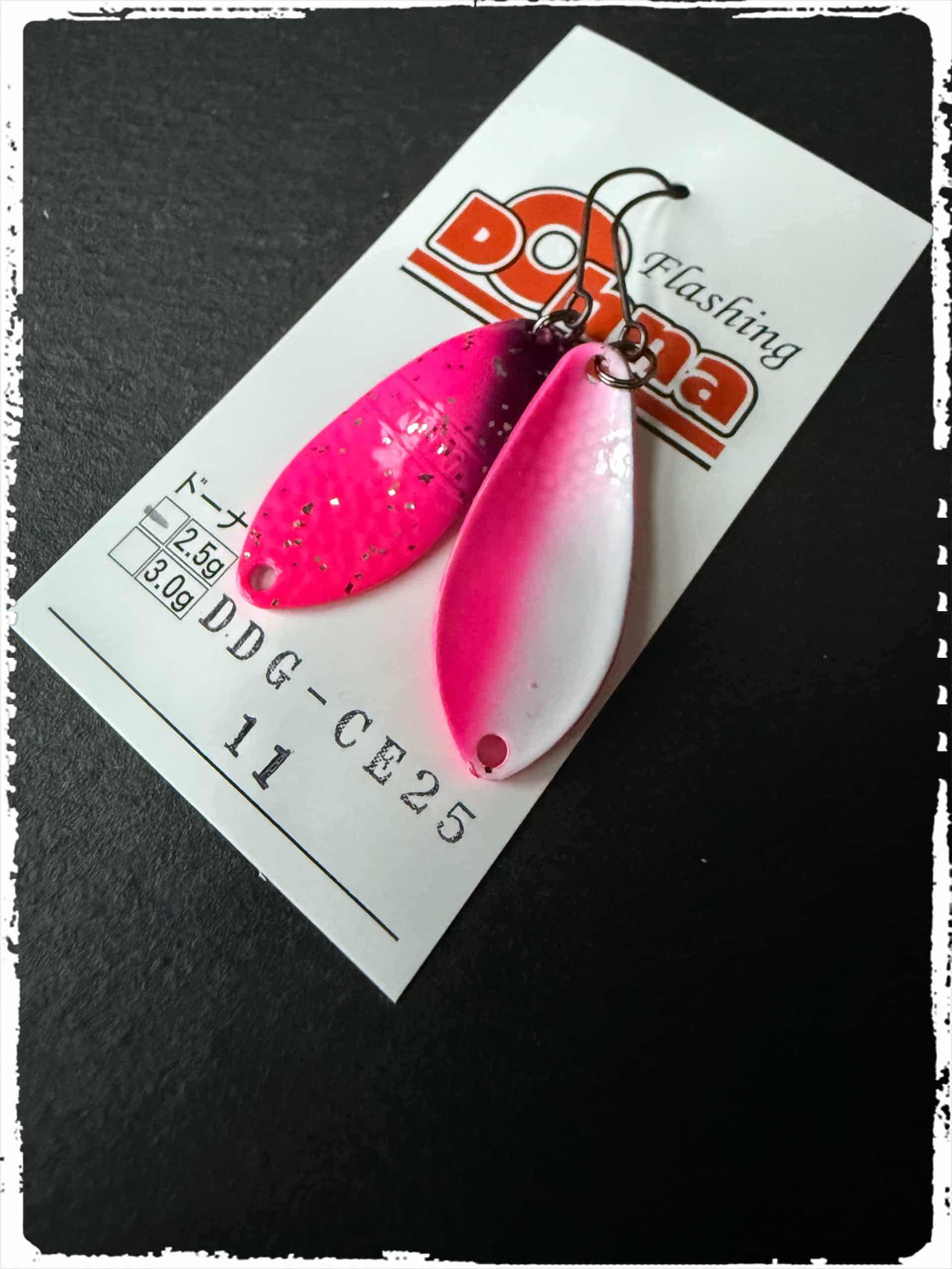 DDG-CE`25 #11
