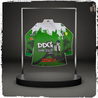 DDG-Kundentrikot_Back