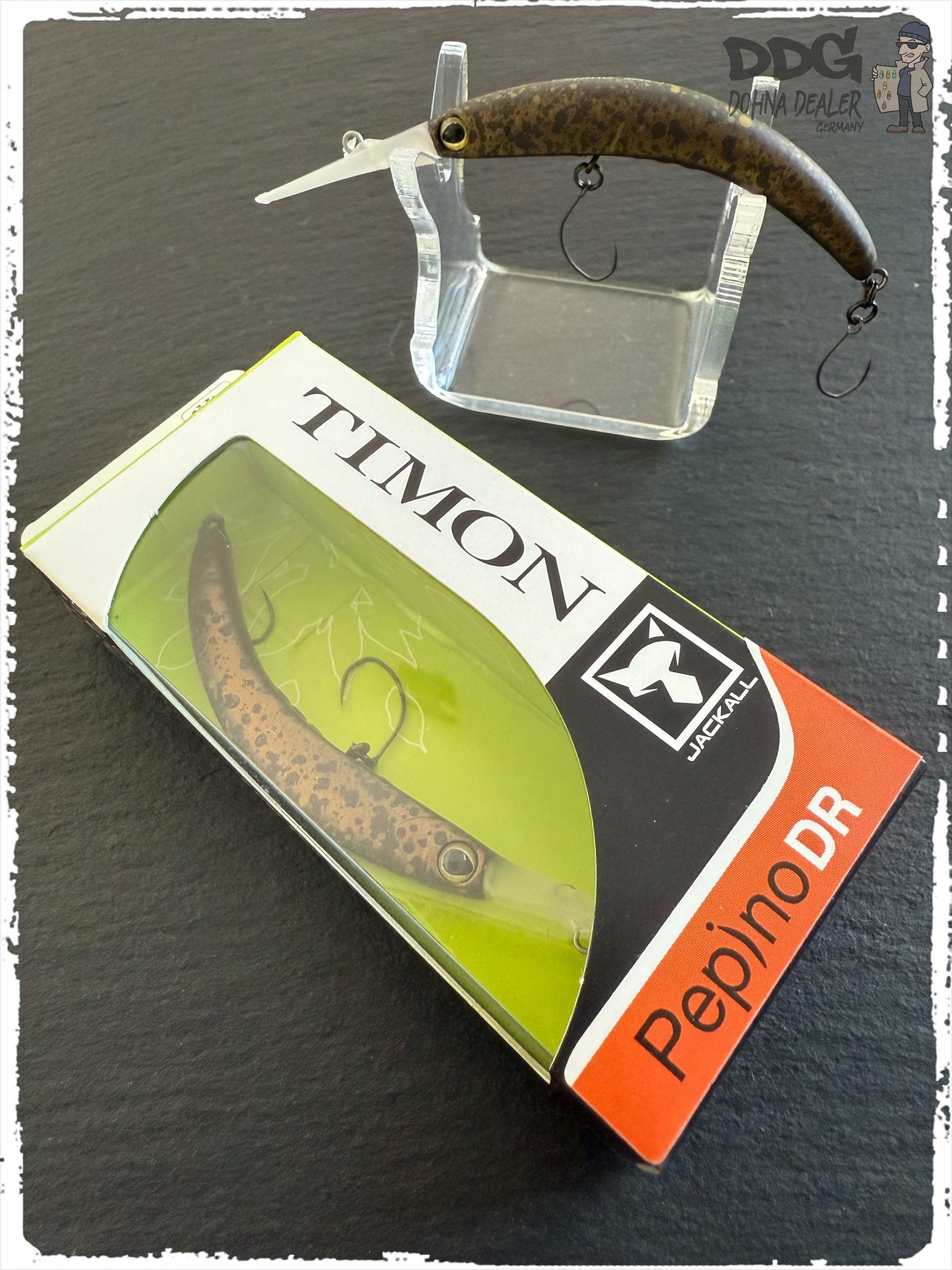 JackAll-Timon – Pepino DR – Yazy Bondz (DR)