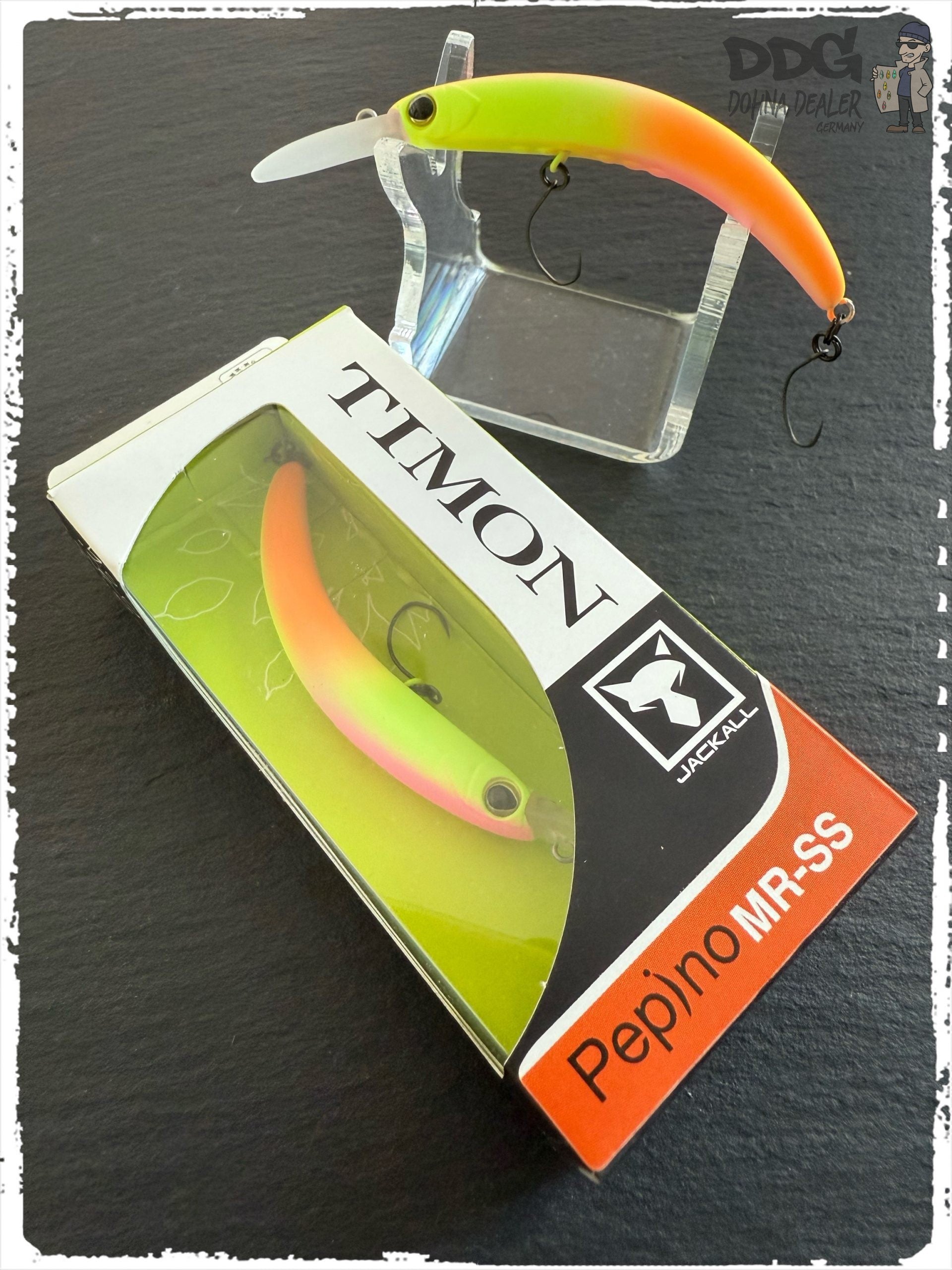 JackAll-Timon – Pepino MR-SS – MST Quartet Chartreuse (MR-SS)