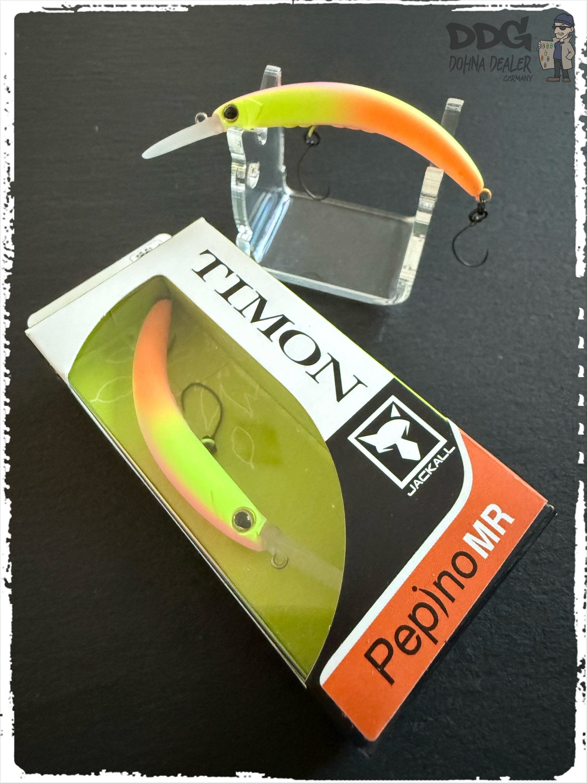 JackAll-Timon – Pepino MR – MST Quartet Chartreuse (MR)