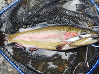 Little Jack CO,.LTD – Hymir_Catch_02