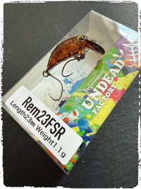 Rem 2 FSR #01 – Battery