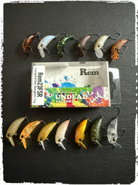 Rem 2 FSR SET #01 – #013