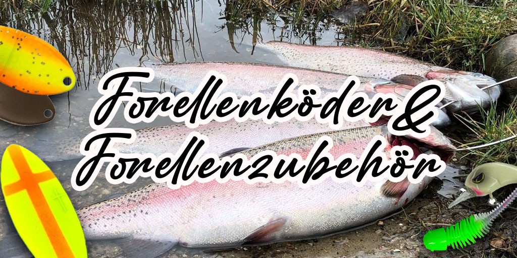 Forellenköder und Forellenzubehör kaufen – Kein Problem!