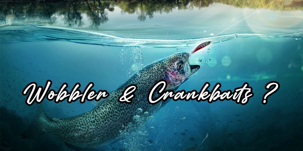 Wobbler und Crankbaits – Führungstechniken und Einsatzgebiete