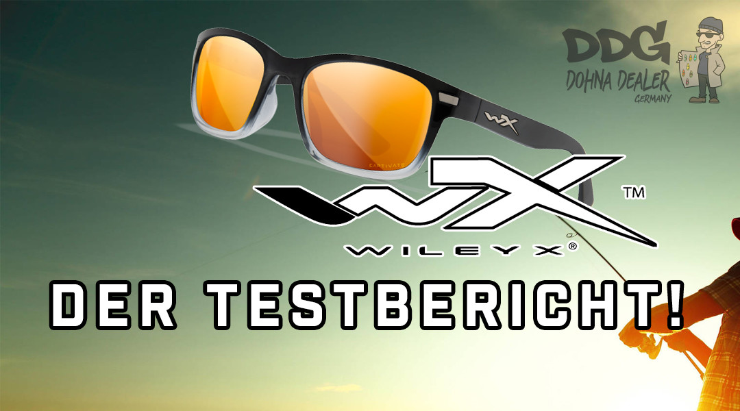 Die Wiley X WX Helix Polbrille im Test